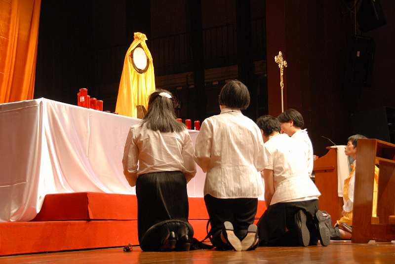 DSC (17)